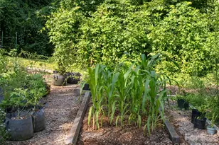 61 Sherwood Forest Dr, Arden, NC 28704 - Photo 31