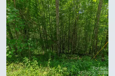 000 Rough Knob Road, Clyde, NC 28721 - Photo 3