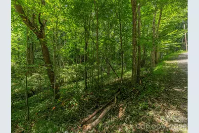 000 Rough Knob Road, Clyde, NC 28721 - Photo 1