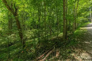 000 Rough Knob Rd, Clyde, NC 28721 - Photo 1
