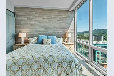 7 Patton Avenue #1103, Asheville, NC 28801 - Photo 29