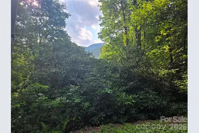 000 Greenspire Drive, Sylva, NC 28779 - Photo 1