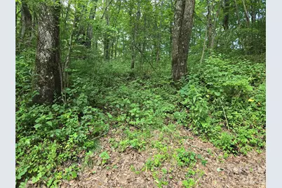 000 Greenspire Drive, Sylva, NC 28779 - Photo 11