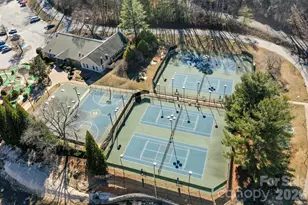 193 Downing Pl, Lake Lure, NC 28746 - Photo 37