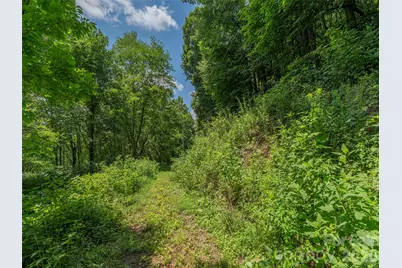 00000 Rough Knob Road, Clyde, NC 28721 - Photo 3