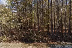 2804 Forest Lawn Dr, Weddington, NC 28104 - Photo 1