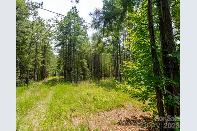 2682 Cold Springs Road, Concord, NC 28025 - Photo 11