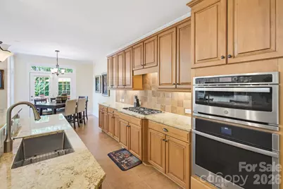 16506 Doves Canyon Lane, Charlotte, NC 28278 - Photo 19