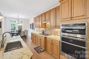 16506 Doves Canyon Ln, Charlotte, NC 28278 - Photo 19