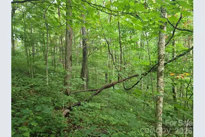 000 Rosemount Road, Sylva, NC 28779 - Photo 9