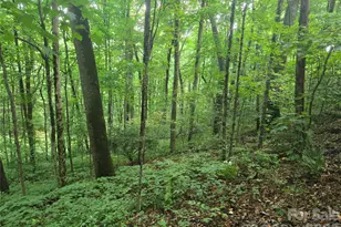 000 Rosemount Rd, Sylva, NC 28779 - Photo 1