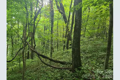 000 Rosemount Road, Sylva, NC 28779 - Photo 11