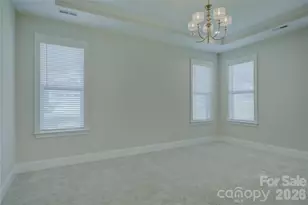 82105 Standing Oak Dr, Charlotte, NC 28278 - Photo 21