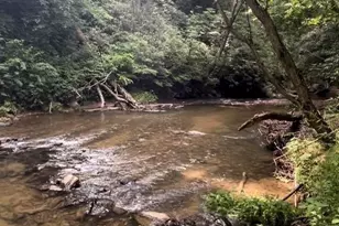 1 Old Mill Ln, Weaverville, NC 28787 - Photo 5