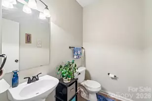 226 Elaine Court, Clover, SC 29710 - Photo 19