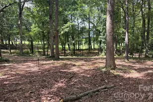 6311 Old Pageland Marshville Rd, Marshville, NC 28103 - Photo 39