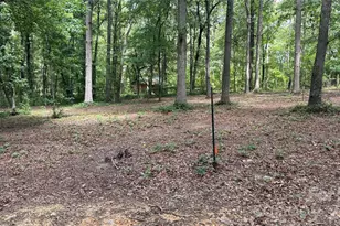 6311 Old Pageland Marshville Rd, Marshville, NC 28103 - Photo 41