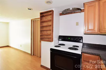 2124 Pisgah Highway, Candler, NC 28715 - Photo 7