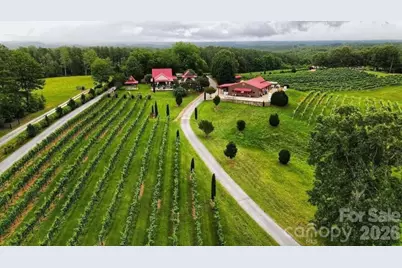 98 Lexxi Lane, Tryon, NC 28782 - Photo 45