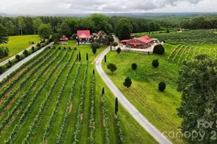 98 Lexxi Ln, Tryon, NC 28782 - Photo 45