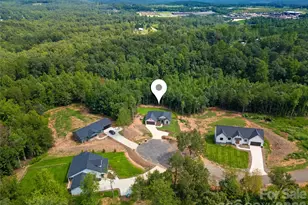 98 Lexxi Ln, Tryon, NC 28782 - Photo 9