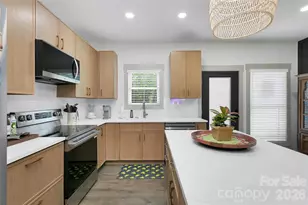 98 Lexxi Ln, Tryon, NC 28782 - Photo 19