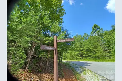88 Lowden Drive #88, Nebo, NC 28761 - Photo 11
