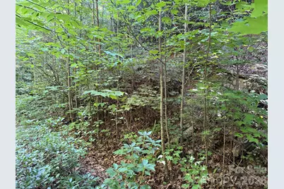 Tbd Casey Mountain Road #222, Purlear, NC 28665 - Photo 5
