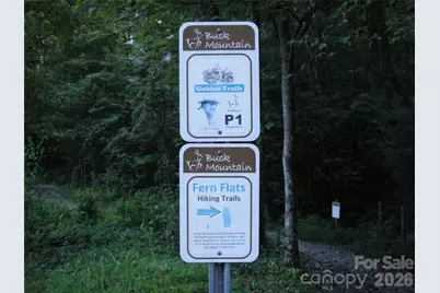 Tbd Casey Mountain Road #222, Purlear, NC 28665 - Photo 23
