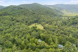 256 Fairway Loop, Burnsville, NC 28714 - Photo 45