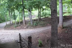 409 Arrowood Rd, Rutherfordton, NC 28139 - Photo 3