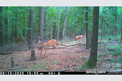 1440-2 Carl Taylor Road, Peachland, NC 28133 - Photo 19