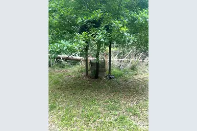 2870 Rutherford College Road, Connelly Springs, NC 28612 - Photo 7