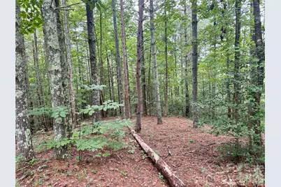 Lot 126 & Lot 127A Sunset Creek Lane #126 & 127A, Lenoir, NC 28645 - Photo 9