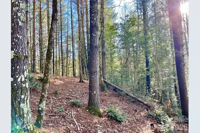 Lot 126 & Lot 127A Sunset Creek Lane #126 & 127A, Lenoir, NC 28645 - Photo 19