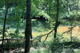 5797 US Hwy 64/74A None, Lake Lure, NC 28746 - Photo 27