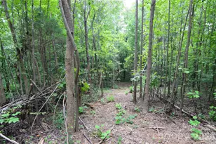 607 Anthony Grove Rd, Crouse, NC 28033 - Photo 35