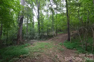 607 Anthony Grove Rd, Crouse, NC 28033 - Photo 39
