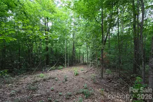 607 Anthony Grove Rd, Crouse, NC 28033 - Photo 37