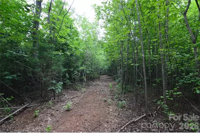 607 Anthony Grove Road, Crouse, NC 28033 - Photo 33