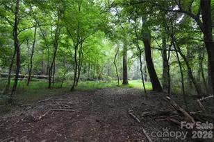 607 Anthony Grove Rd, Crouse, NC 28033 - Photo 41