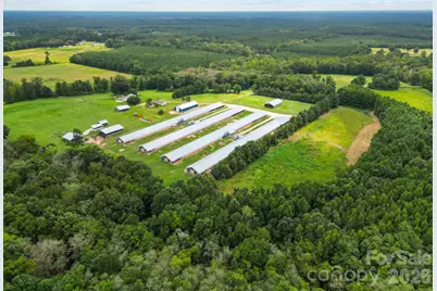 1333 Bunnlevel Erwin Road, Bunnlevel, NC 28323 - Photo 5