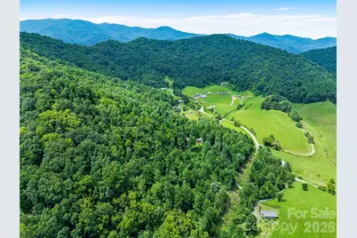 152 Worley Cove Road, Leicester, NC 28748 - Photo 37