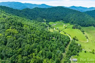152 Worley Cove Rd, Leicester, NC 28748 - Photo 37