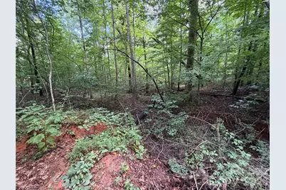 0 Beechtree Circle, Rutherfordton, NC 28139 - Photo 9
