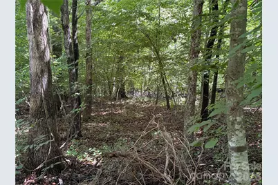 0 Beechtree Circle, Rutherfordton, NC 28139 - Photo 11