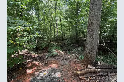 0 Beechtree Circle, Rutherfordton, NC 28139 - Photo 5