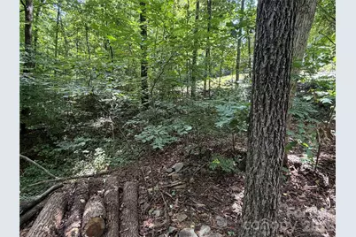 0 Beechtree Circle, Rutherfordton, NC 28139 - Photo 3