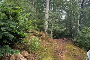 1886 Old Linville Rd, Marion, NC 28752 - Photo 3