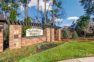 252 Kennerly Center Dr, Mooresville, NC 28115 - Photo 37